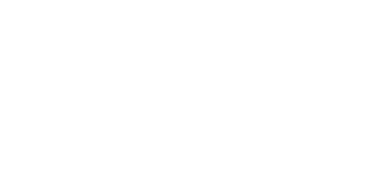 Golden Goose Logo Haus